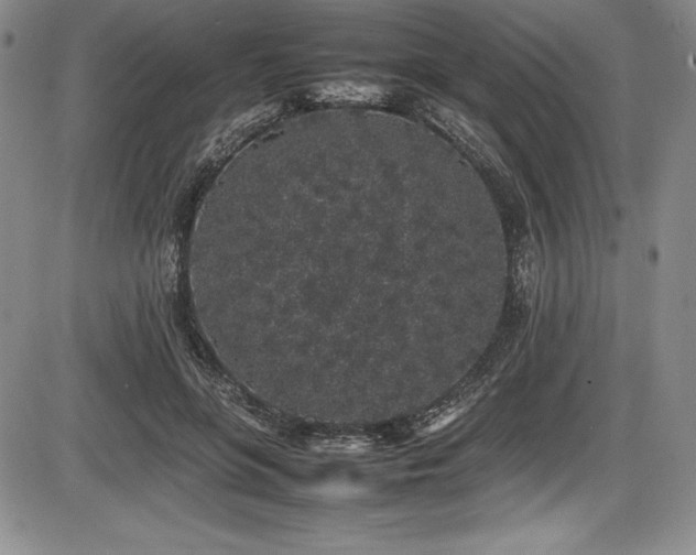 X0000086240551200703291358
