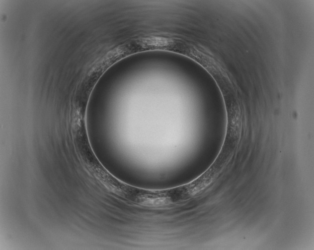 X0000086240555200703291358