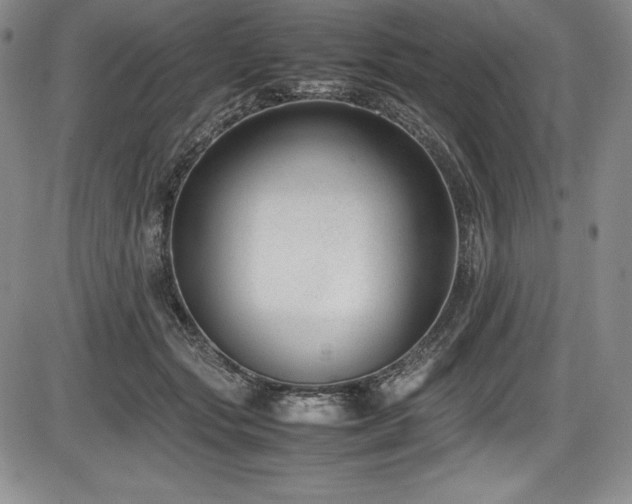 X0000086240557200703291358
