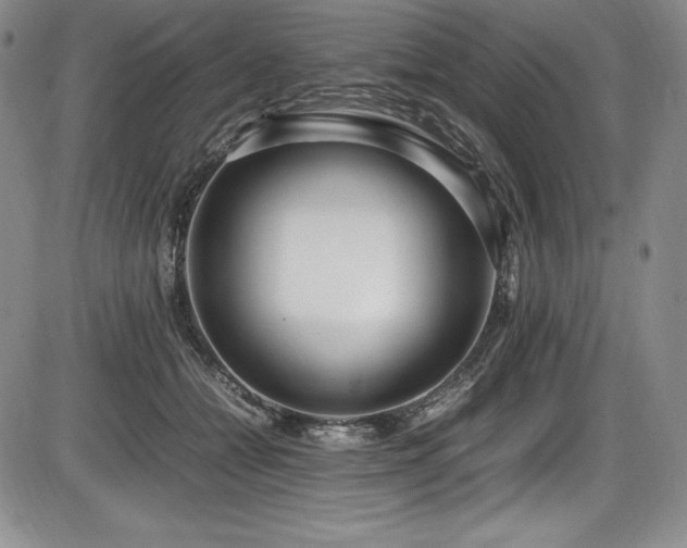 X0000086240558200703291358
