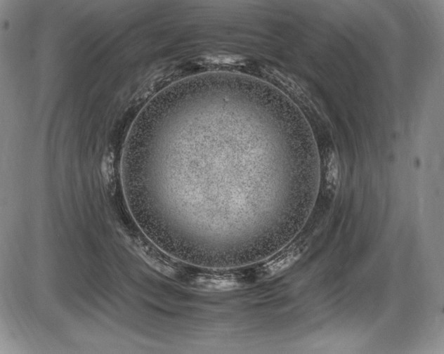 X0000086240559200703291358