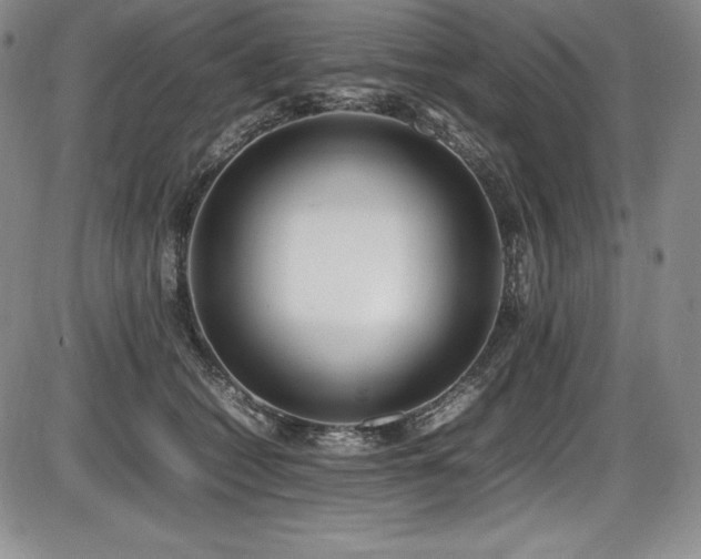 X0000086240562200703291358