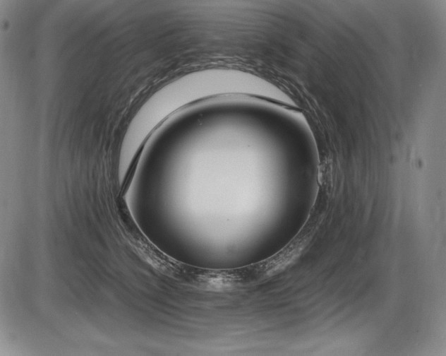 X0000086240564200703291358