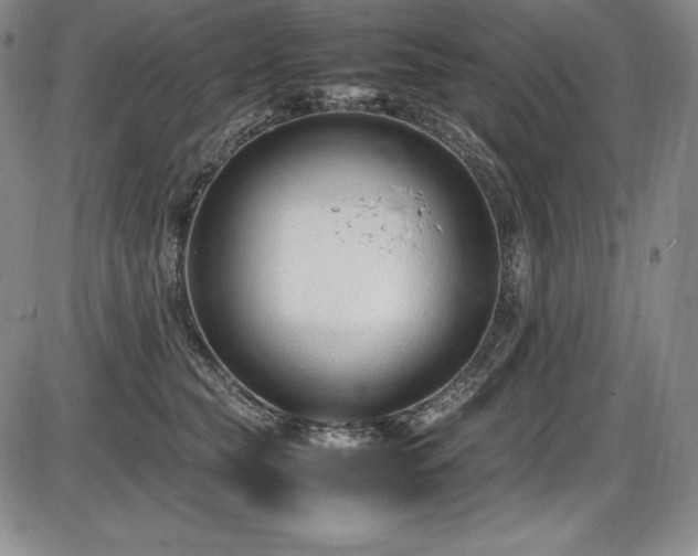 X0000086240565200703291358