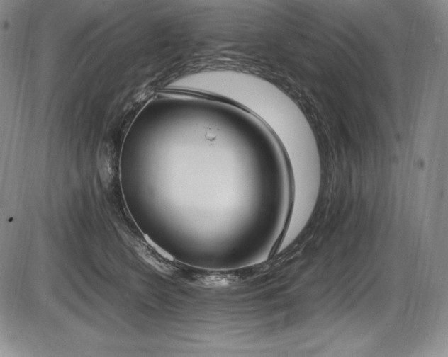 X0000086240566200703291358