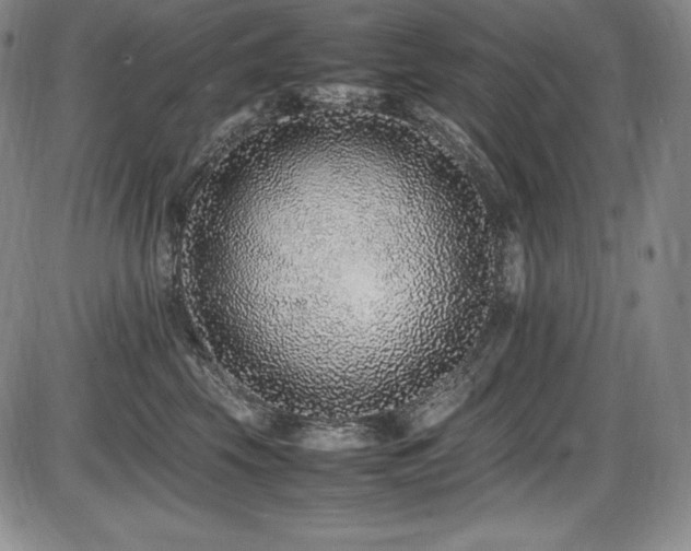 X0000086240569200703291358