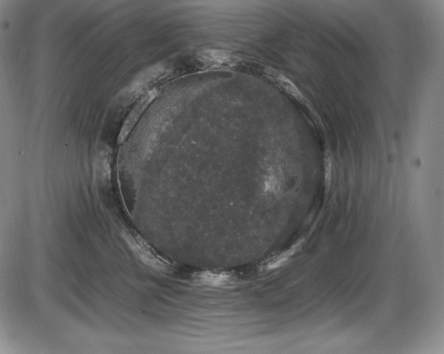X0000086240570200703291358