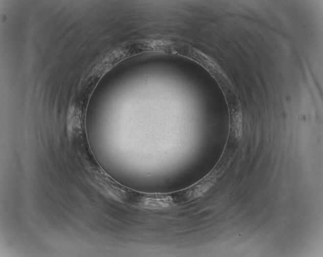 X0000086240571200703291358