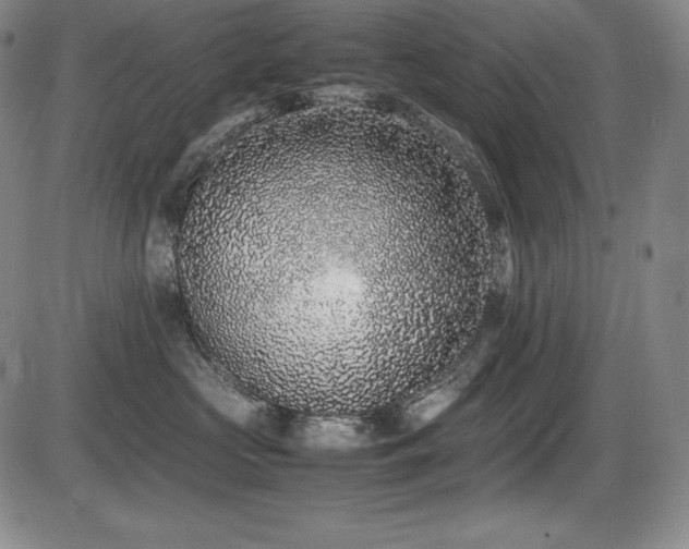 X0000086240573200703291358