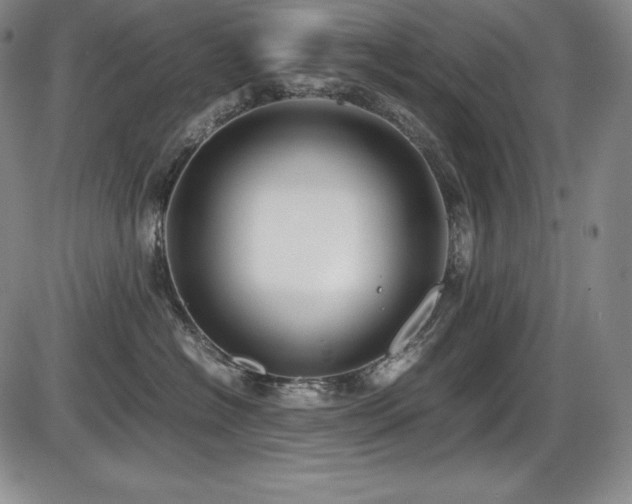 X0000086240574200703291358
