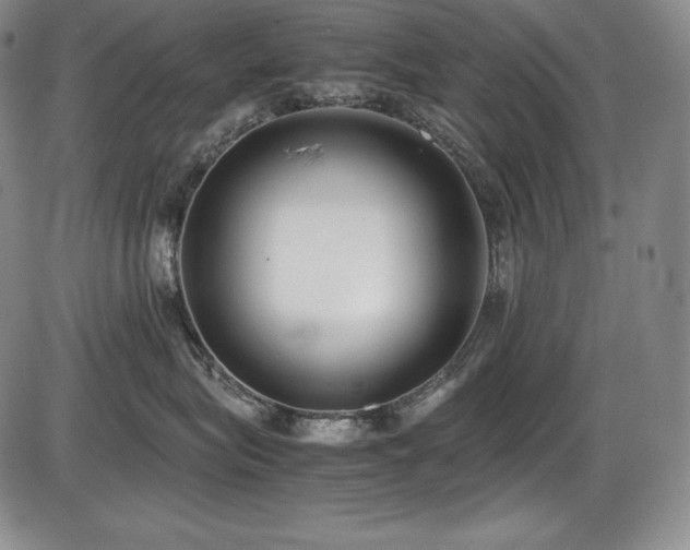 X0000086240575200703291358