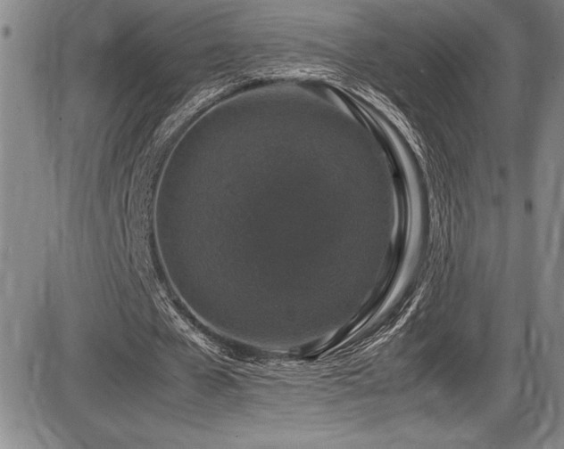 X0000086240577200703291357