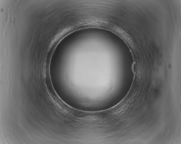 X0000086240578200703291357