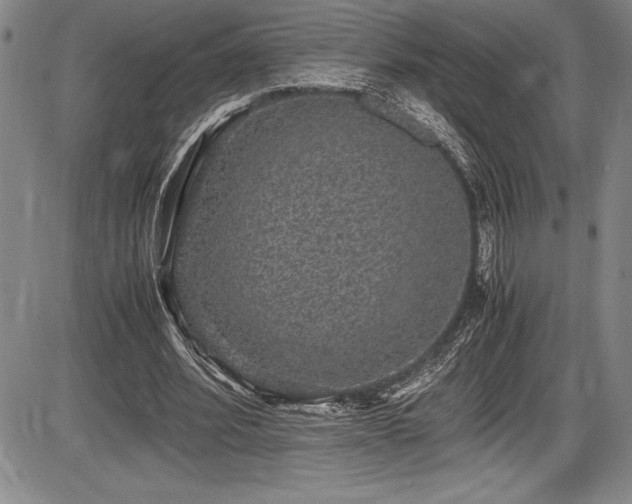 X0000086240580200703291357