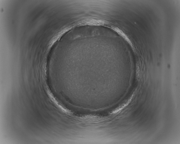 X0000086240581200703291357