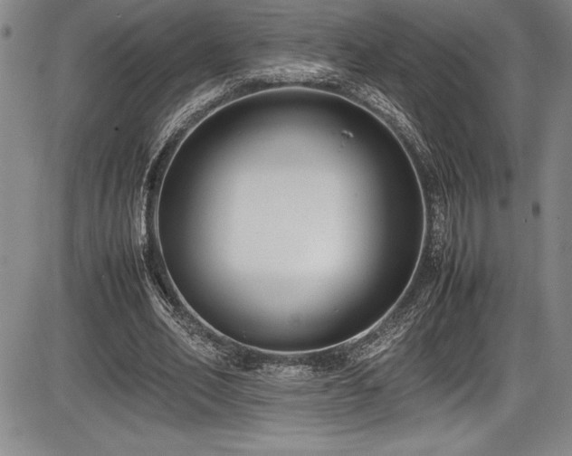 X0000086240582200703291357