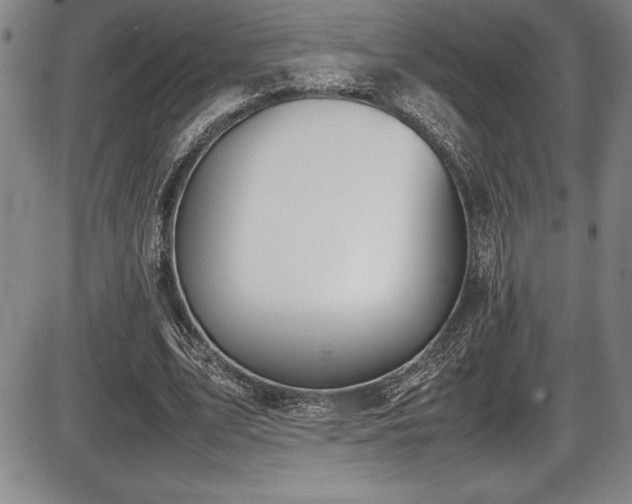 X0000086240583200703291357