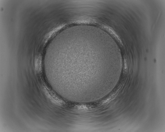 X0000086240588200703291357