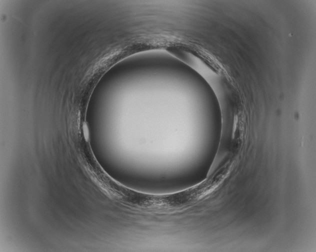 X0000086240589200703291357