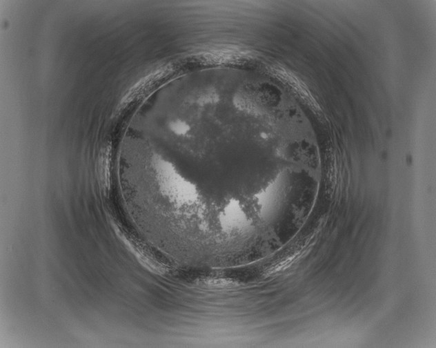 X0000086240590200703291357