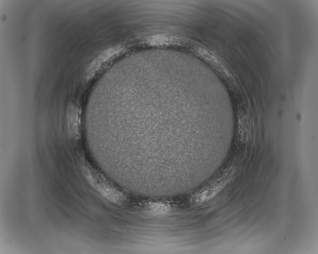 X0000086240592200703291357