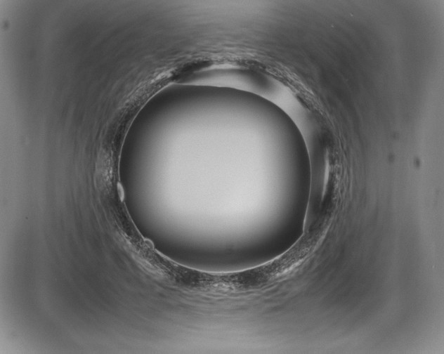 X0000086240593200703291357