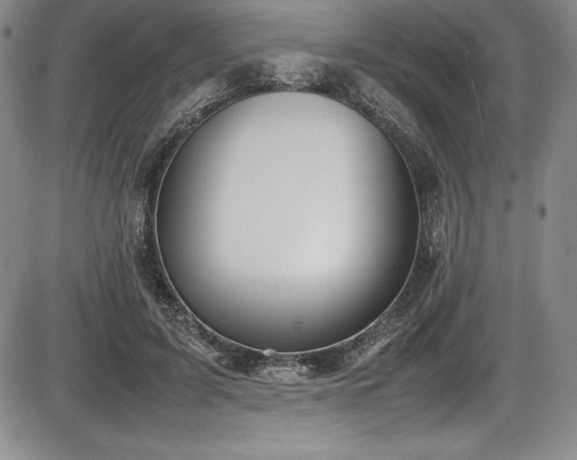 X0000086240595200703291357