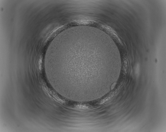 X0000086240596200703291357