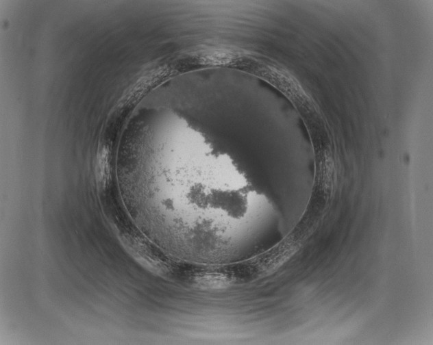 X0000086240598200703291357