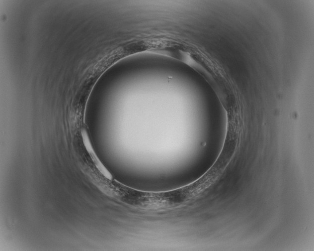 X0000086240601200703291357