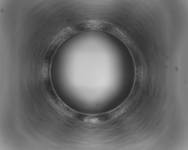 X0000086240602200703291357