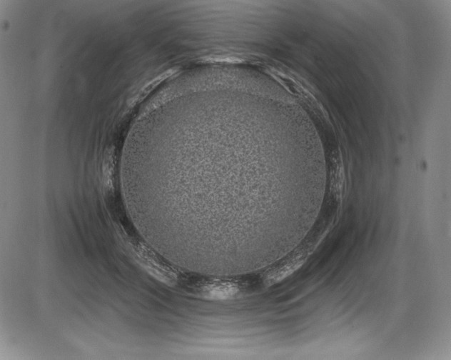 X0000086240604200703291357