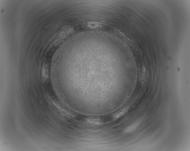 X0000086240606200703291357