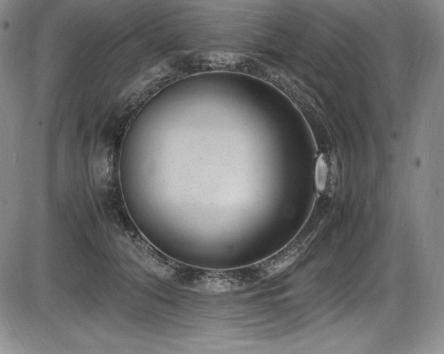 X0000086240608200703291357