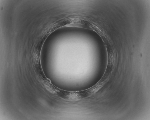 X0000086240609200703291357
