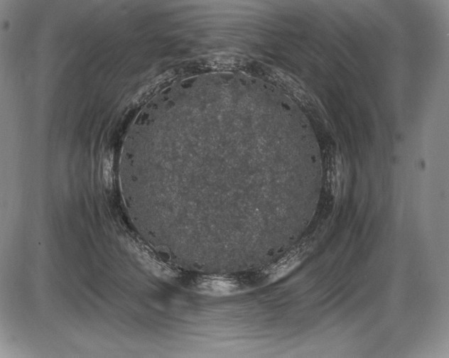 X0000086240610200703291357