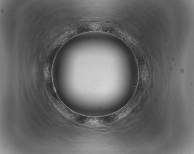 X0000086240611200703291357