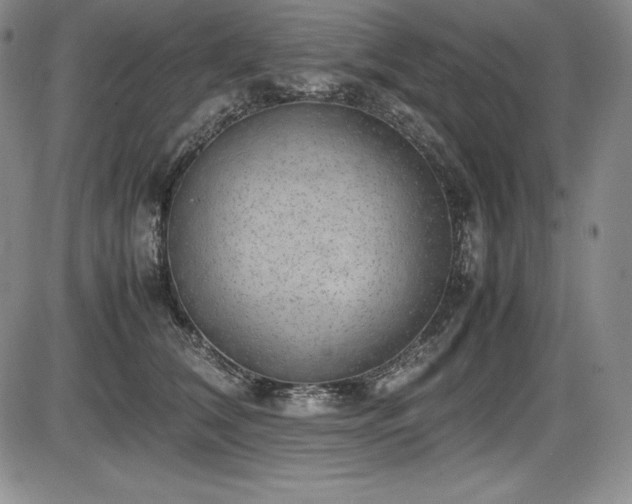 X0000086240612200703291357