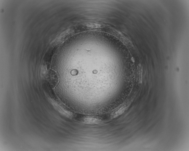 X0000086240614200703291357