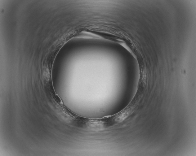 X0000086240617200703291357