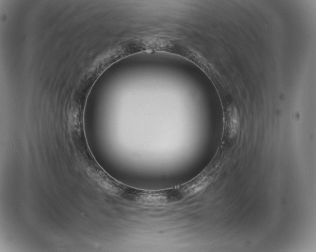 X0000086240619200703291357