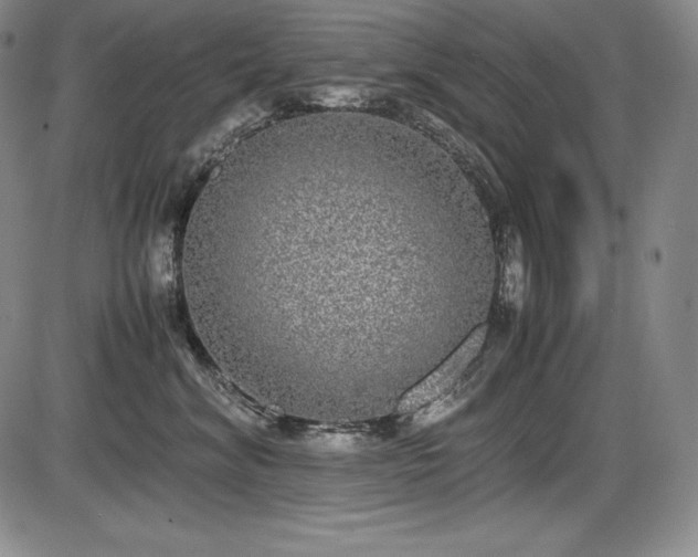 X0000086240620200703291357