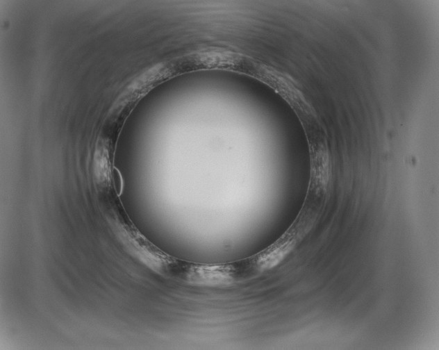 X0000086240622200703291357