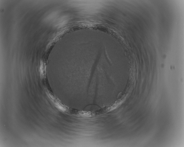 X0000086240624200703291357