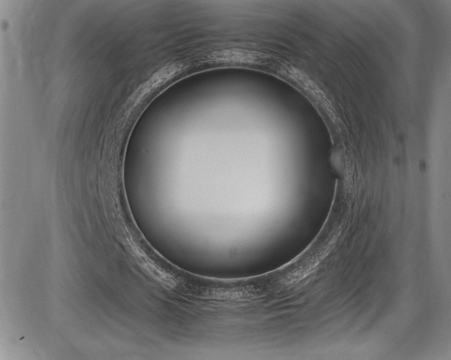 X0000086240625200703291356