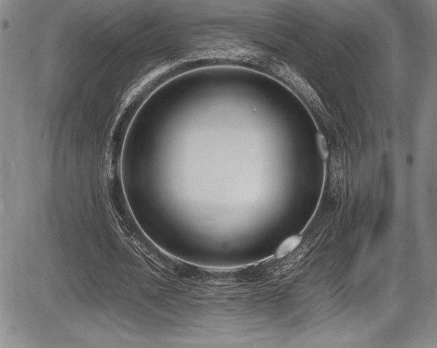 X0000086240628200703291356