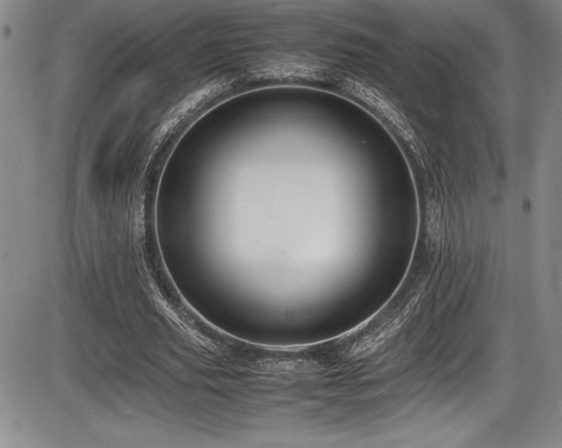 X0000086240629200703291356