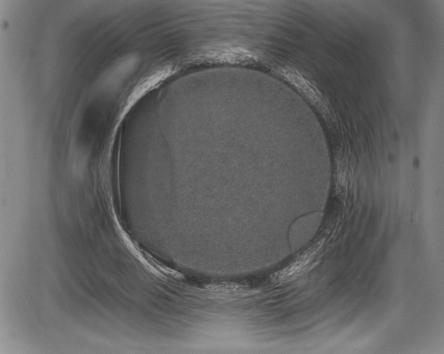 X0000086240630200703291356