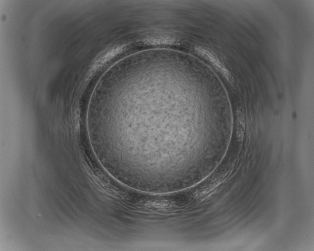 X0000086240631200703291356