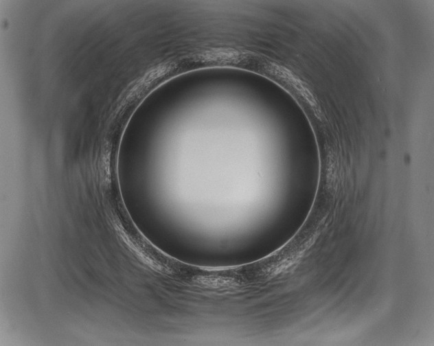 X0000086240633200703291356